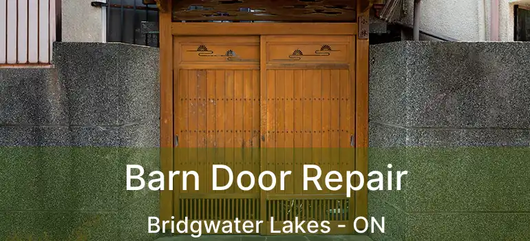  Barn Door Repair Bridgwater Lakes - ON