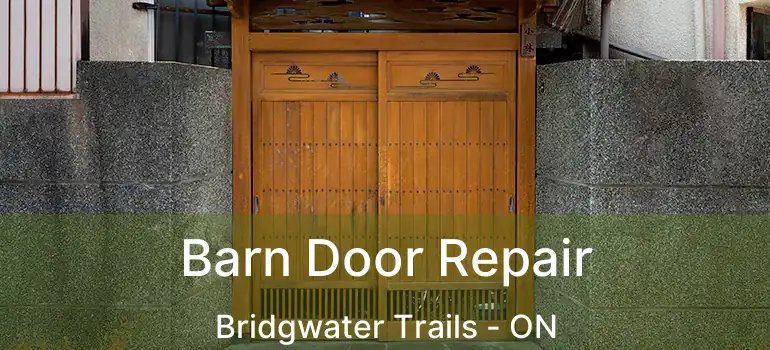  Barn Door Repair Bridgwater Trails - ON