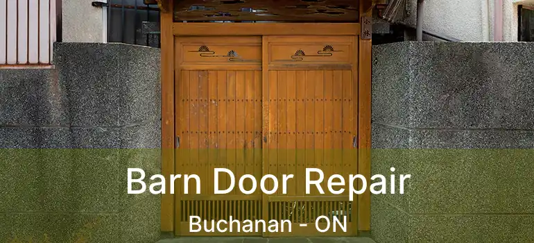  Barn Door Repair Buchanan - ON