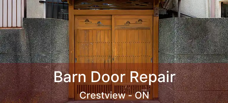  Barn Door Repair Crestview - ON