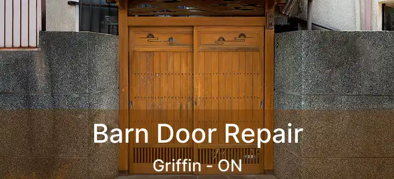  Barn Door Repair Griffin - ON