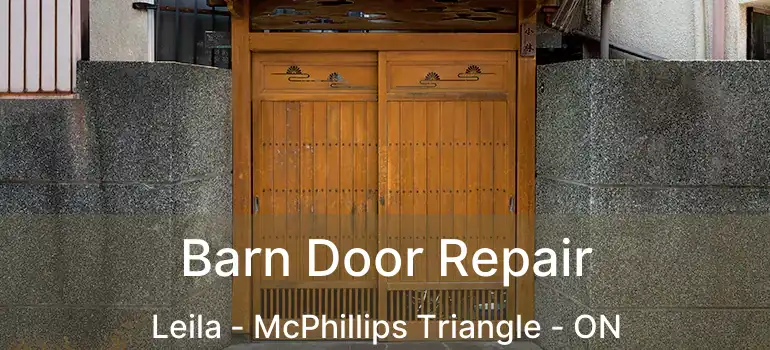  Barn Door Repair Leila - McPhillips Triangle - ON