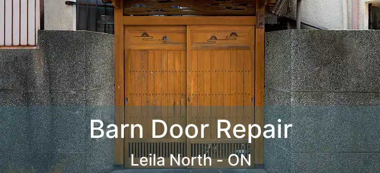  Barn Door Repair Leila North - ON