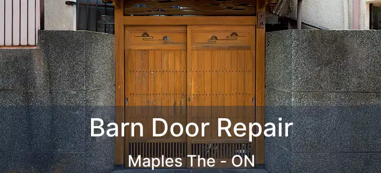  Barn Door Repair Maples The - ON