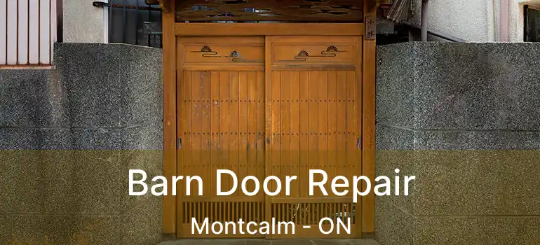  Barn Door Repair Montcalm - ON