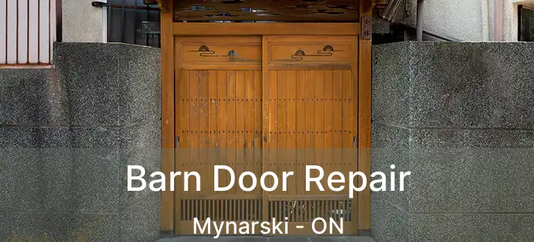  Barn Door Repair Mynarski - ON