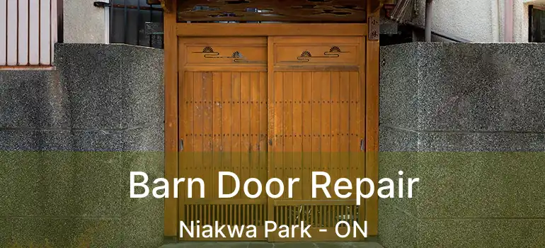  Barn Door Repair Niakwa Park - ON