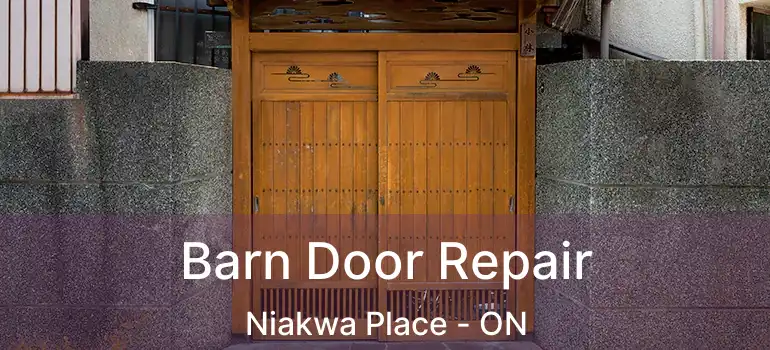  Barn Door Repair Niakwa Place - ON