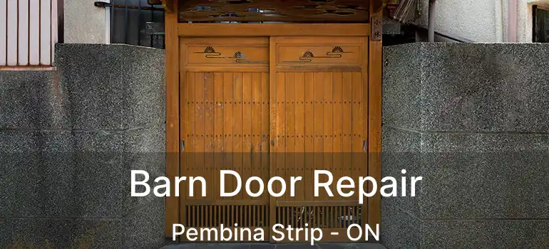  Barn Door Repair Pembina Strip - ON