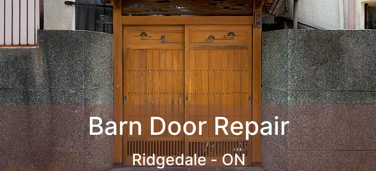  Barn Door Repair Ridgedale - ON