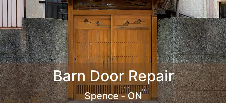  Barn Door Repair Spence - ON