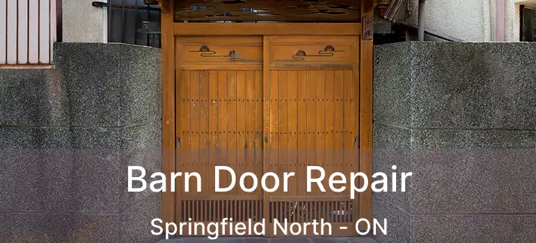  Barn Door Repair Springfield North - ON