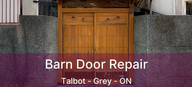  Barn Door Repair Talbot - Grey - ON