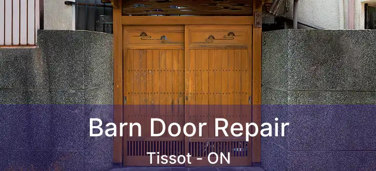  Barn Door Repair Tissot - ON