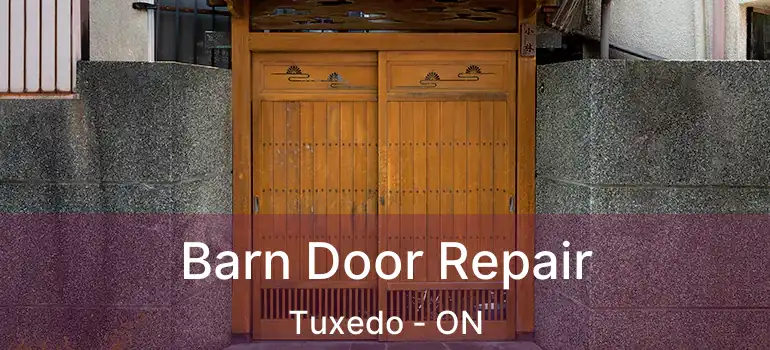  Barn Door Repair Tuxedo - ON