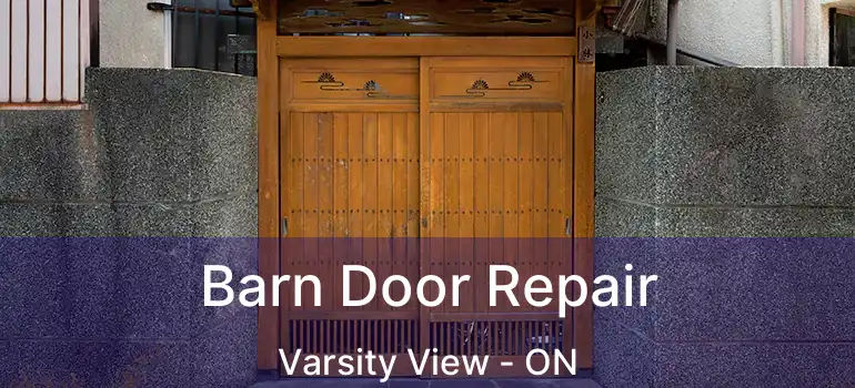  Barn Door Repair Varsity View - ON