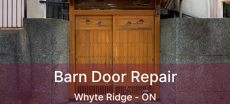  Barn Door Repair Whyte Ridge - ON