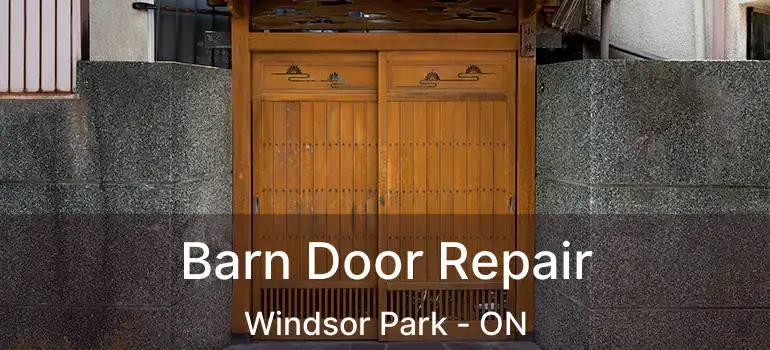  Barn Door Repair Windsor Park - ON
