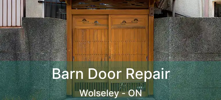  Barn Door Repair Wolseley - ON