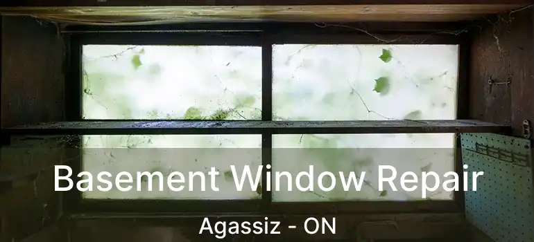  Basement Window Repair Agassiz - ON