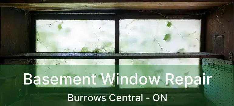  Basement Window Repair Burrows Central - ON
