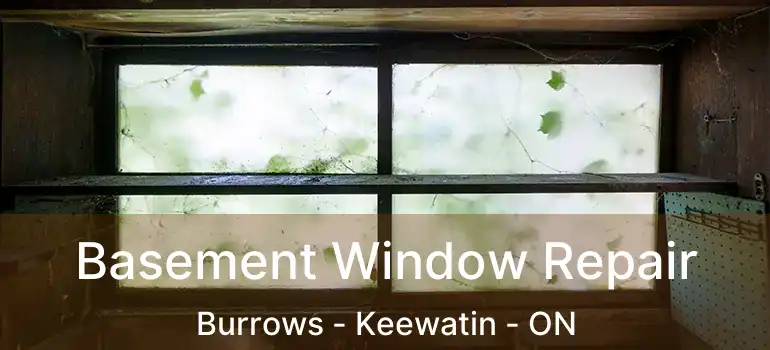  Basement Window Repair Burrows - Keewatin - ON