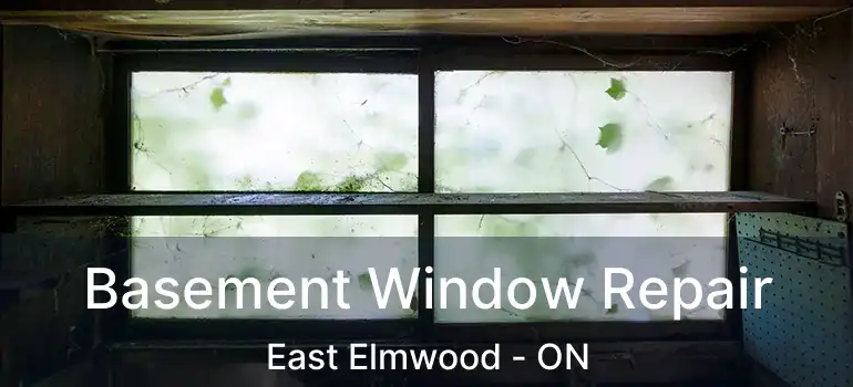  Basement Window Repair East Elmwood - ON