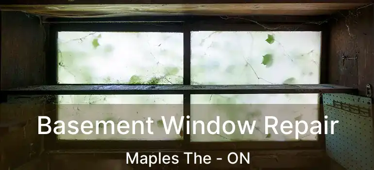 Basement Window Repair Maples The - ON