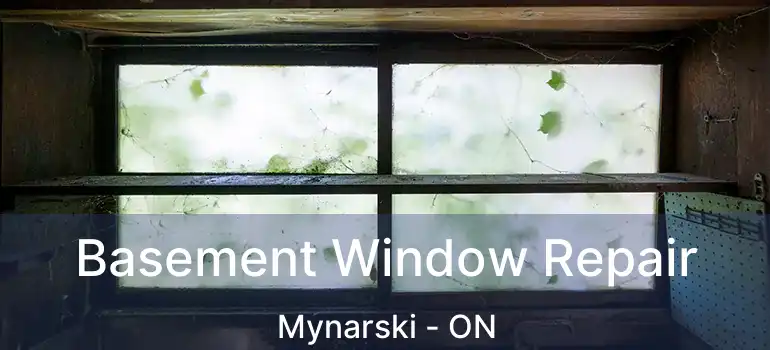  Basement Window Repair Mynarski - ON