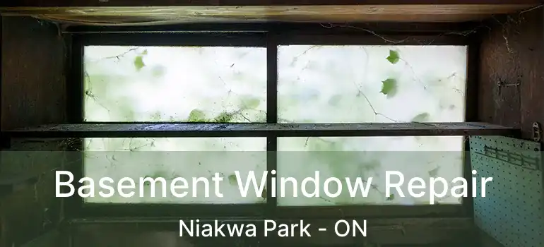  Basement Window Repair Niakwa Park - ON