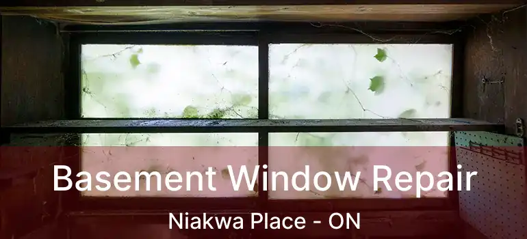  Basement Window Repair Niakwa Place - ON