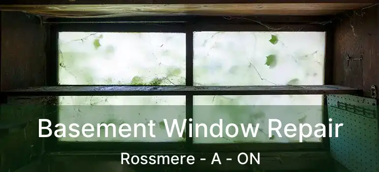  Basement Window Repair Rossmere - A - ON