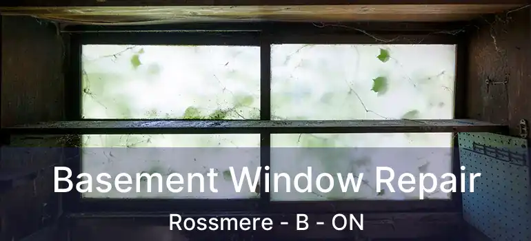  Basement Window Repair Rossmere - B - ON