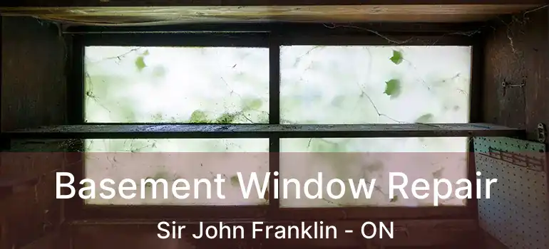  Basement Window Repair Sir John Franklin - ON