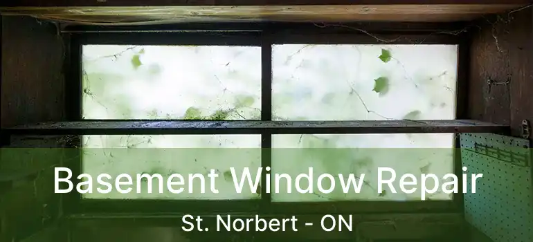  Basement Window Repair St. Norbert - ON