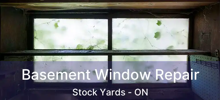  Basement Window Repair Stock Yards - ON