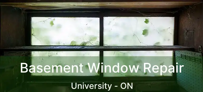  Basement Window Repair University - ON