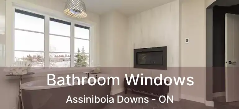  Bathroom Windows Assiniboia Downs - ON