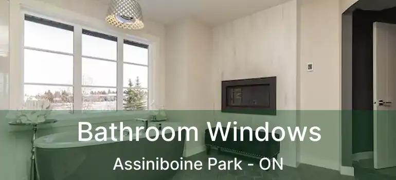  Bathroom Windows Assiniboine Park - ON
