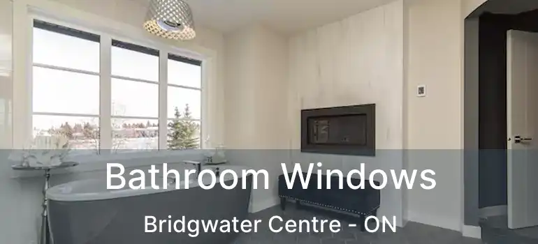  Bathroom Windows Bridgwater Centre - ON