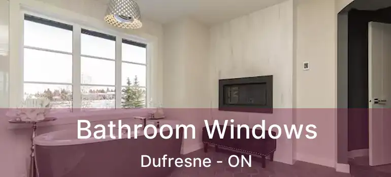  Bathroom Windows Dufresne - ON