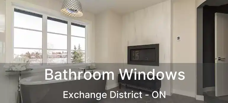  Bathroom Windows Exchange District - ON