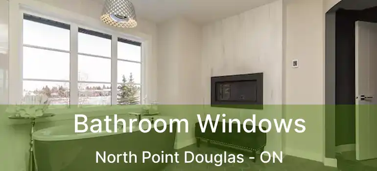  Bathroom Windows North Point Douglas - ON