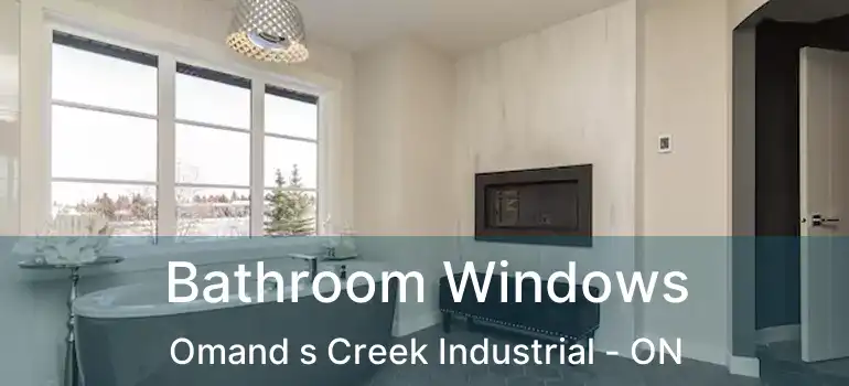  Bathroom Windows Omand s Creek Industrial - ON
