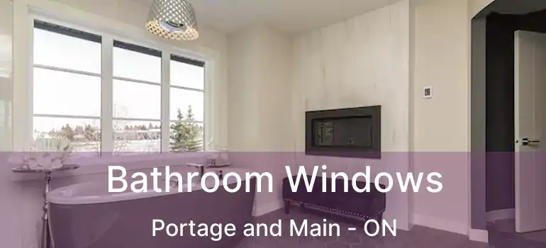  Bathroom Windows Portage and Main - ON