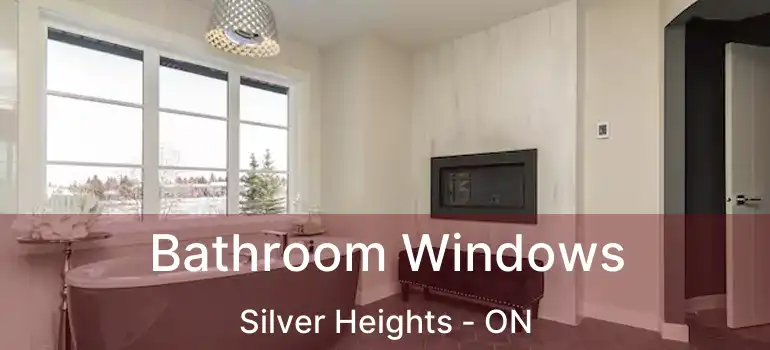  Bathroom Windows Silver Heights - ON