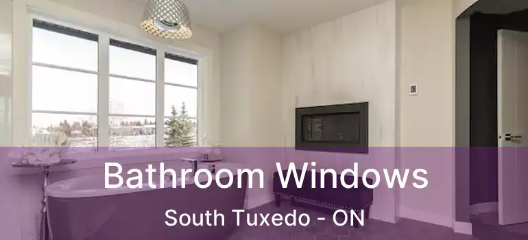  Bathroom Windows South Tuxedo - ON