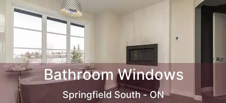  Bathroom Windows Springfield South - ON