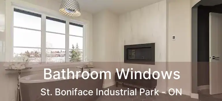  Bathroom Windows St. Boniface Industrial Park - ON