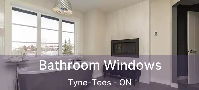  Bathroom Windows Tyne-Tees - ON